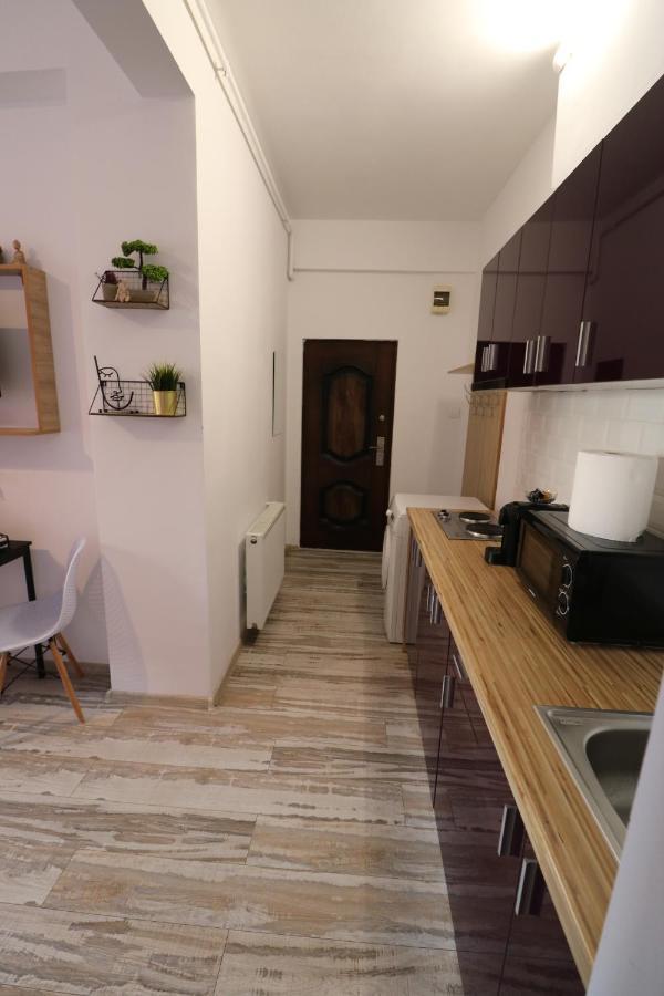 Charming Cozy Studio - Old Town - Free Minibar Διαμέρισμα Βουκουρέστι Εξωτερικό φωτογραφία